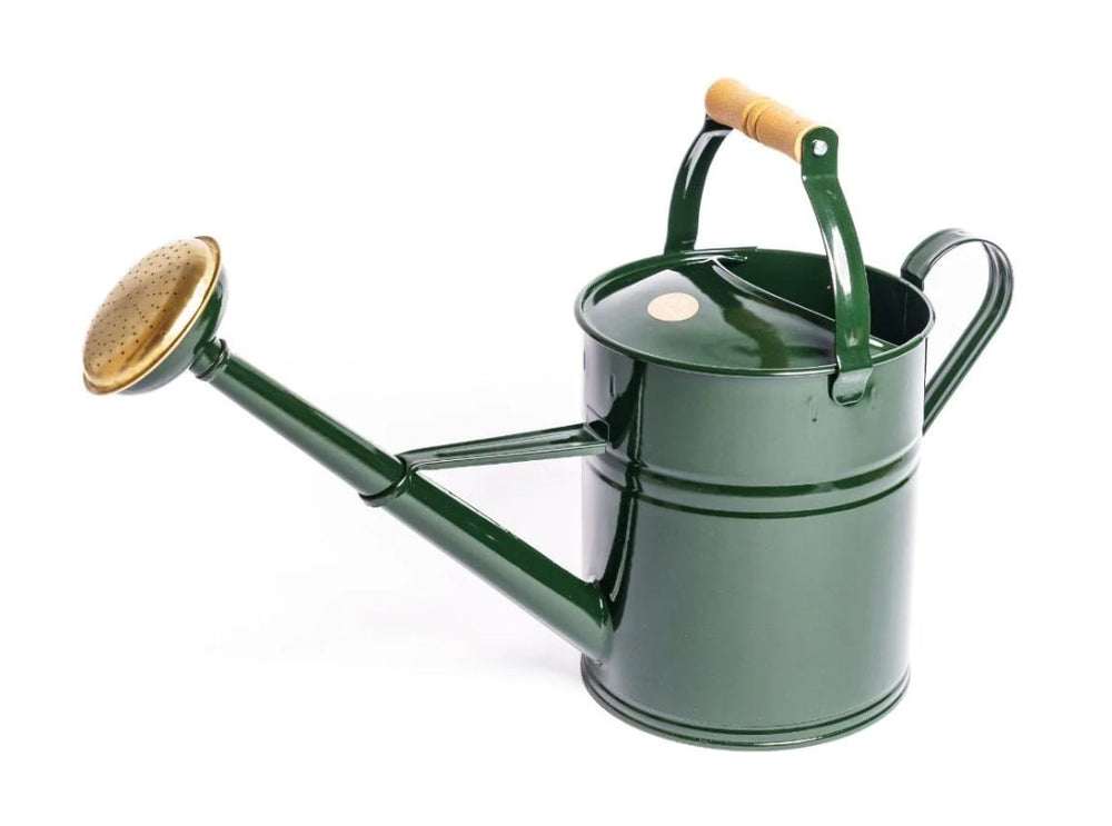 Gießkanne (grün & schwarz)